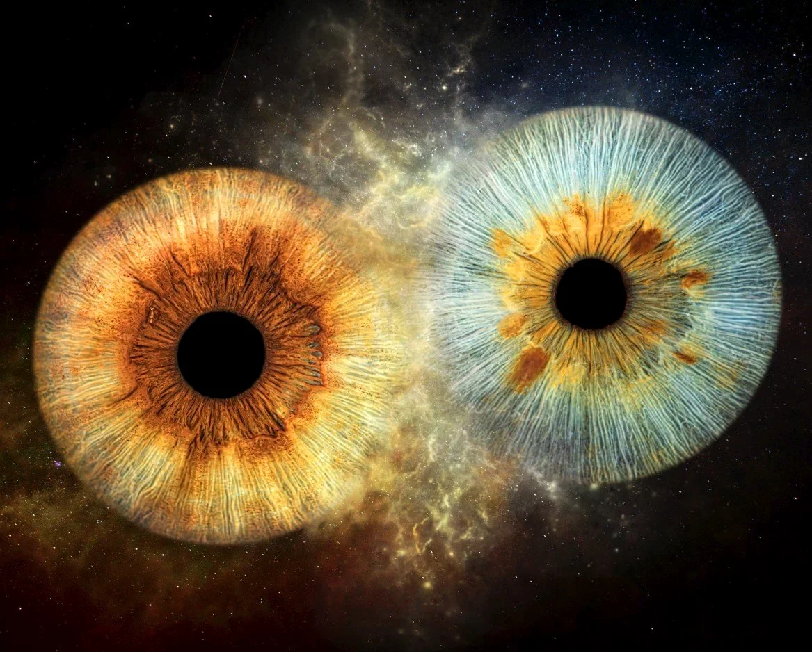 Galaxy couple iris artwork