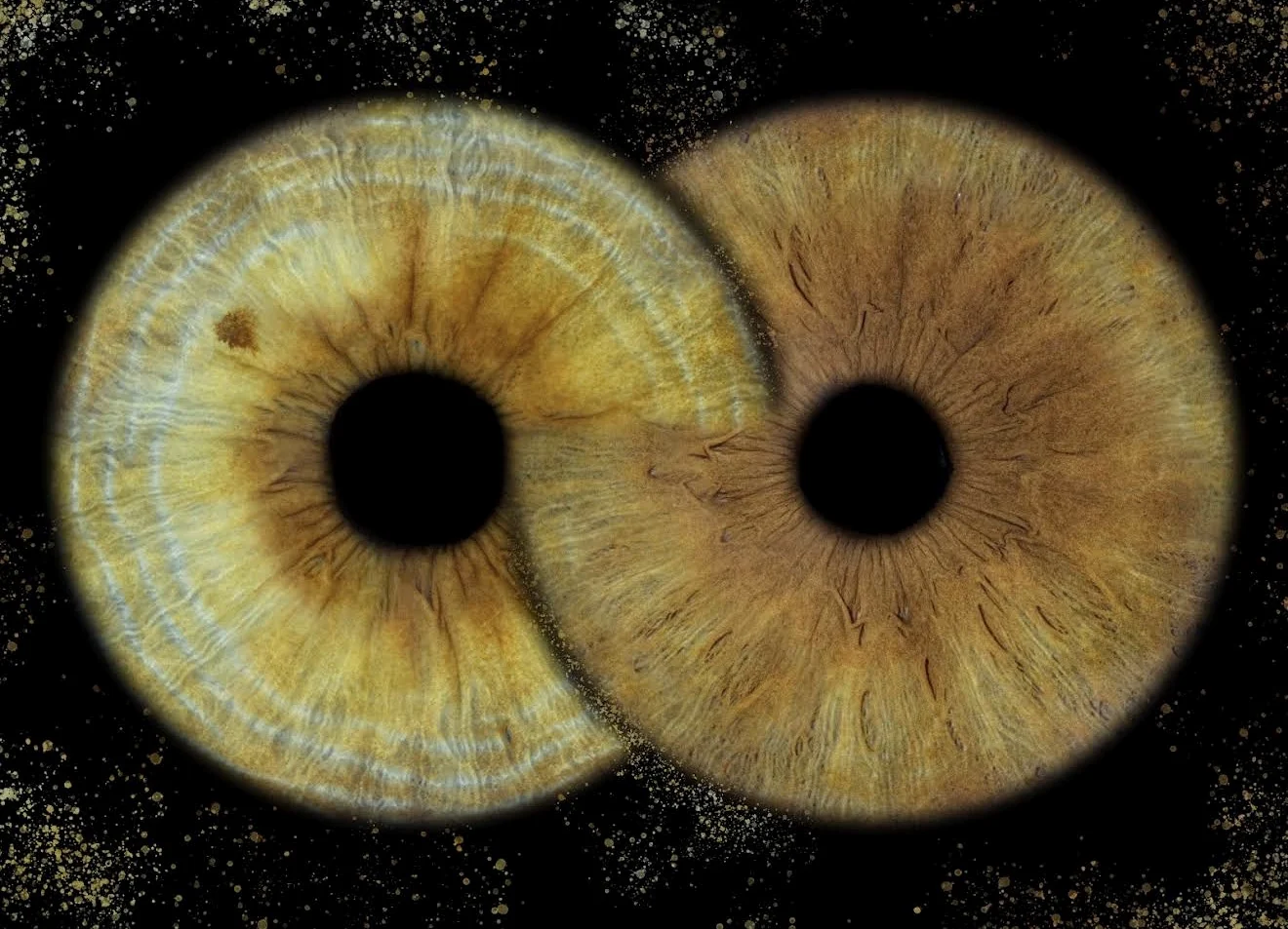 Gold couple iris composition