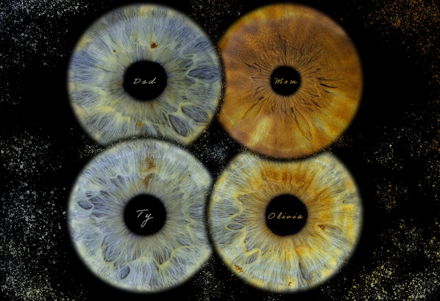 Four-person family iris composition