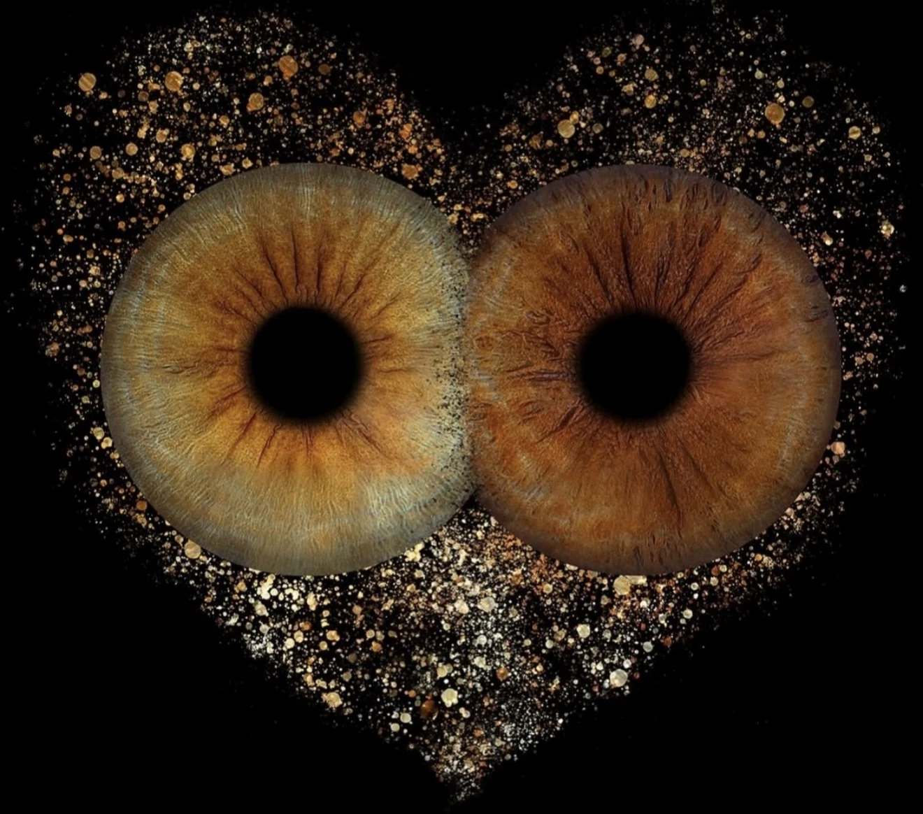 Heart-shaped couple iris composition