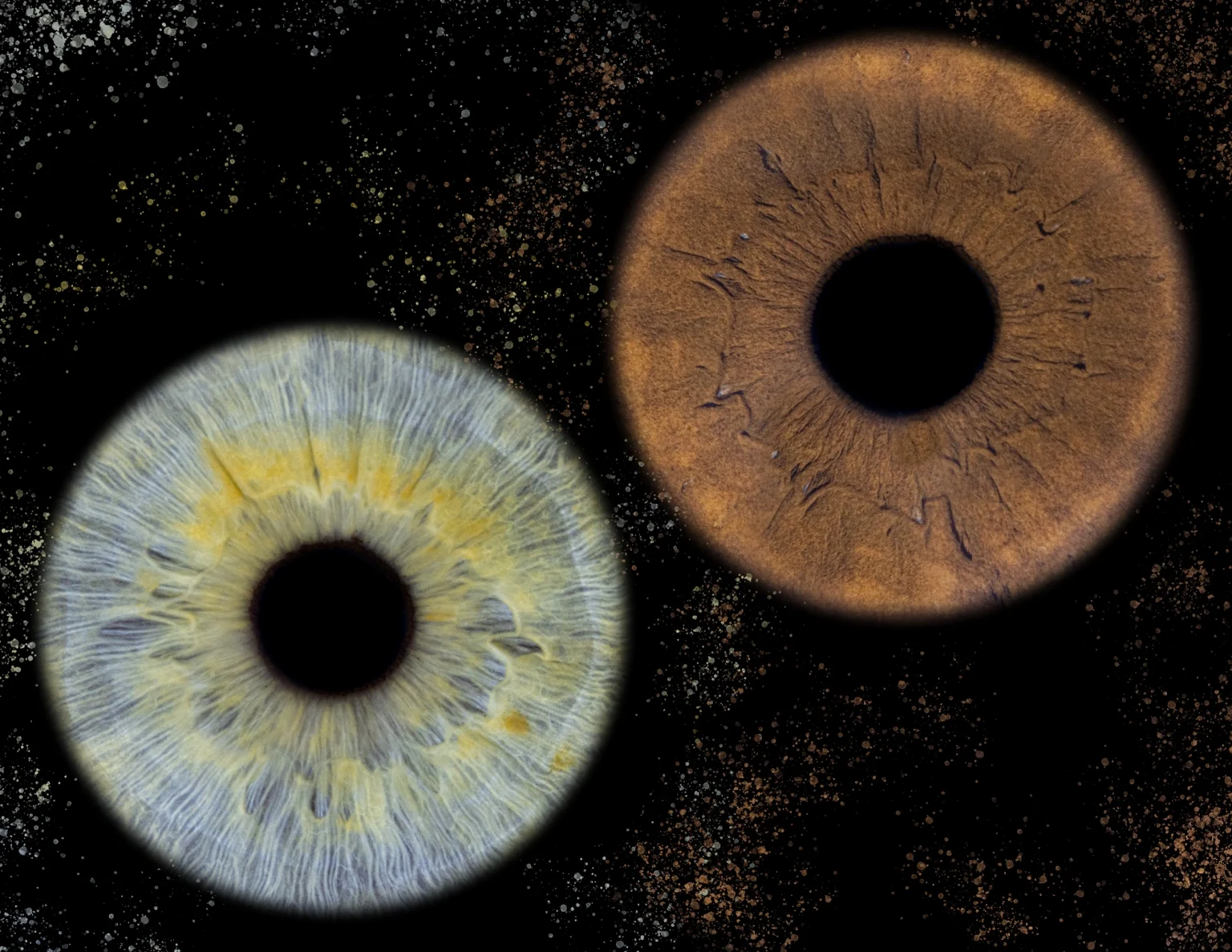 Blue and brown couple iris artwork