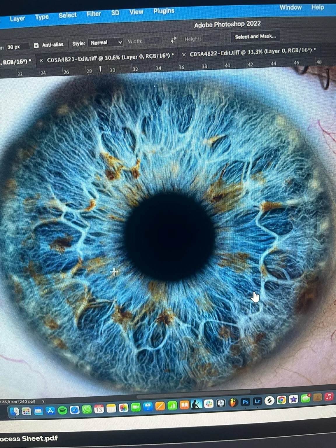 Iris photograph being refined in Photoshop